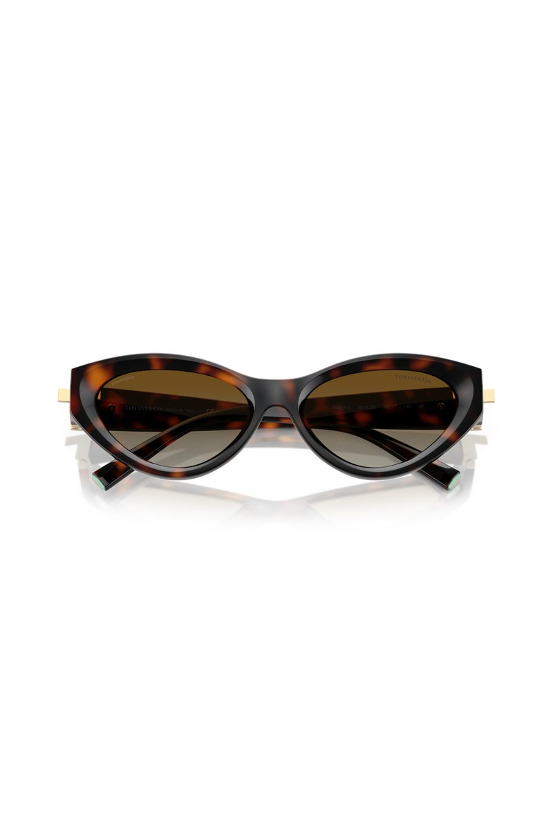 تيفاني نظارة شمسية بيضاوية نسائية - TF 4225u - مقاس العدسة: 54 مم - هافانا - Image 5